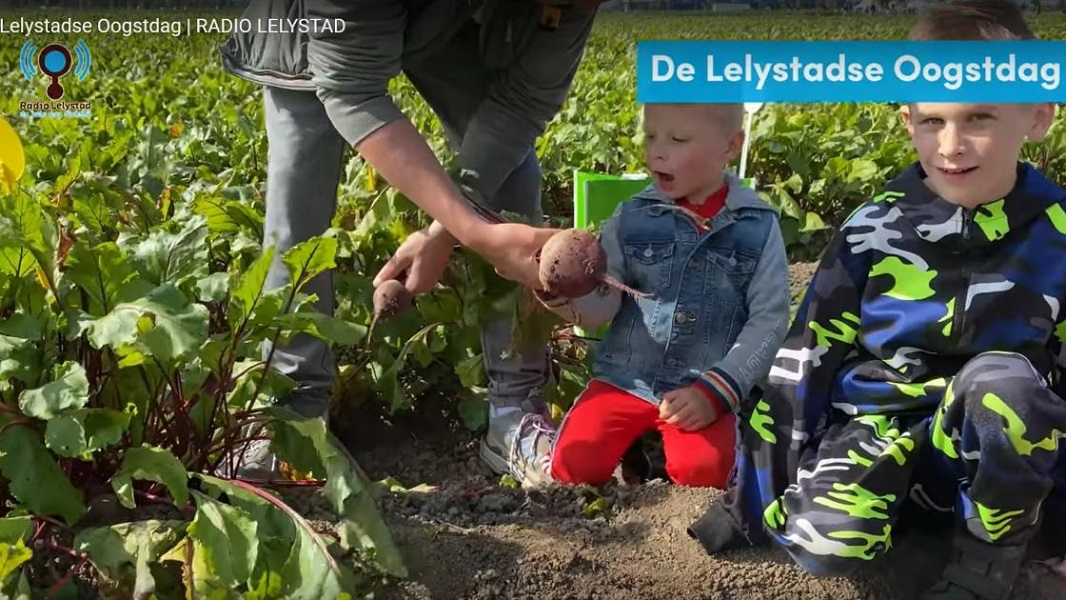 Een frame uit een filmpje van Radio Lelystad van de oogstdag van de Lelystadse boer, waar twee kinderen een aardappel te zien krijgen.